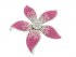 SAY IT WITH FLOWERS ... SPOIL HER WITH THE RUSH BOTANICAL COLLECTION
