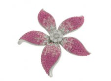 Rush Jewellery - Colour Range