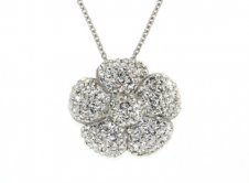 Rush Jewellery Botanical Collection